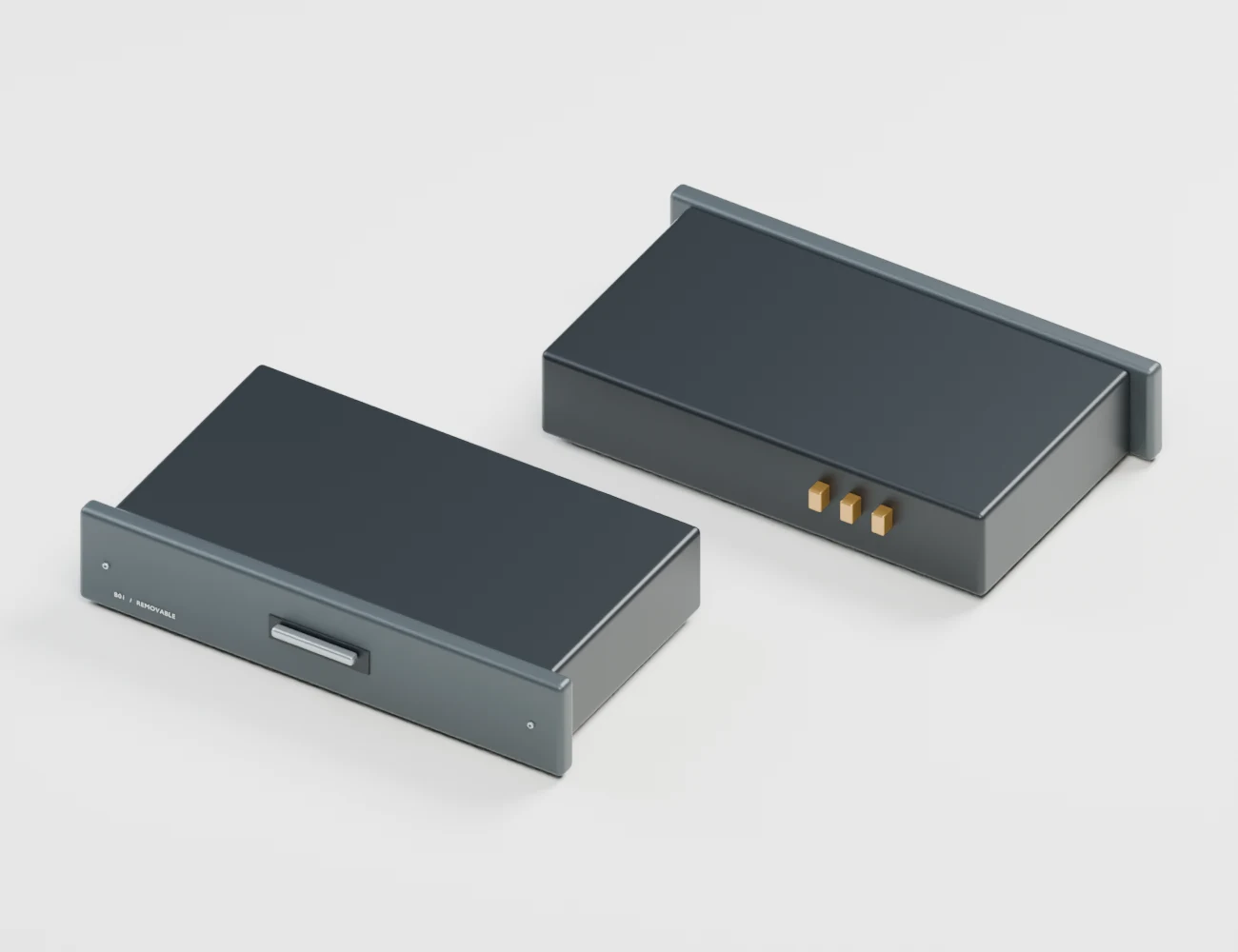 Two removable battery cartridges from the Blender model, showing the front handle, captive latches and rear gold contacts